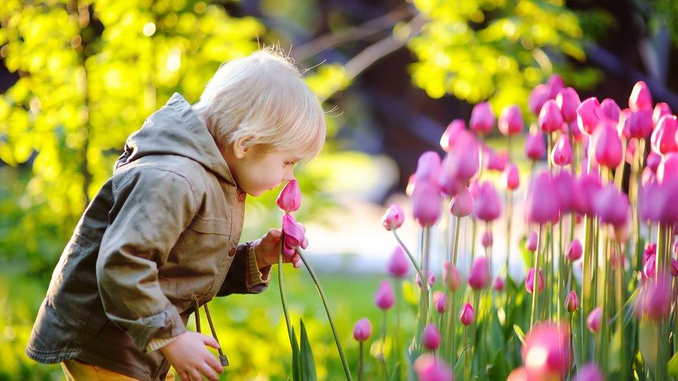 boy smelling flowers