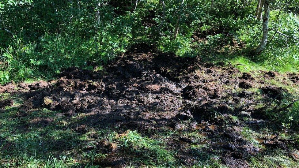 Peat bog resting place of the Spitfire