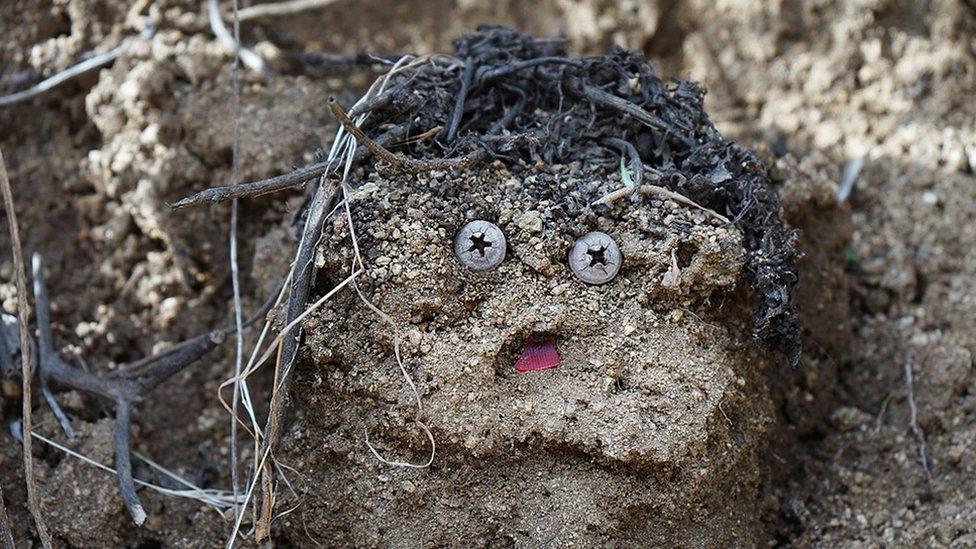 Face in the dirt