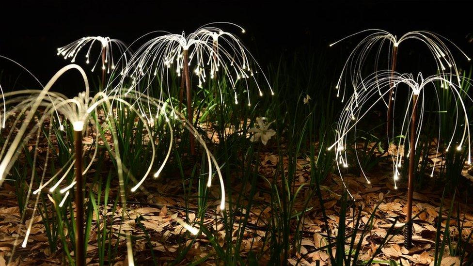 Bruce Munro