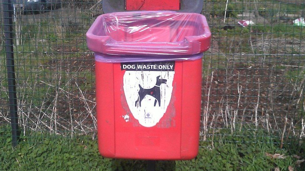 Bin where the ferret was found