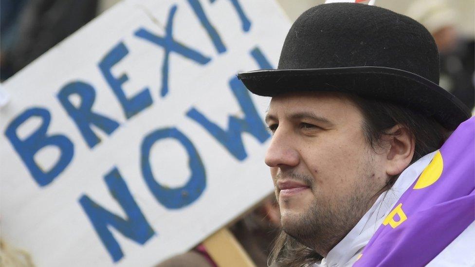 Brexit protester