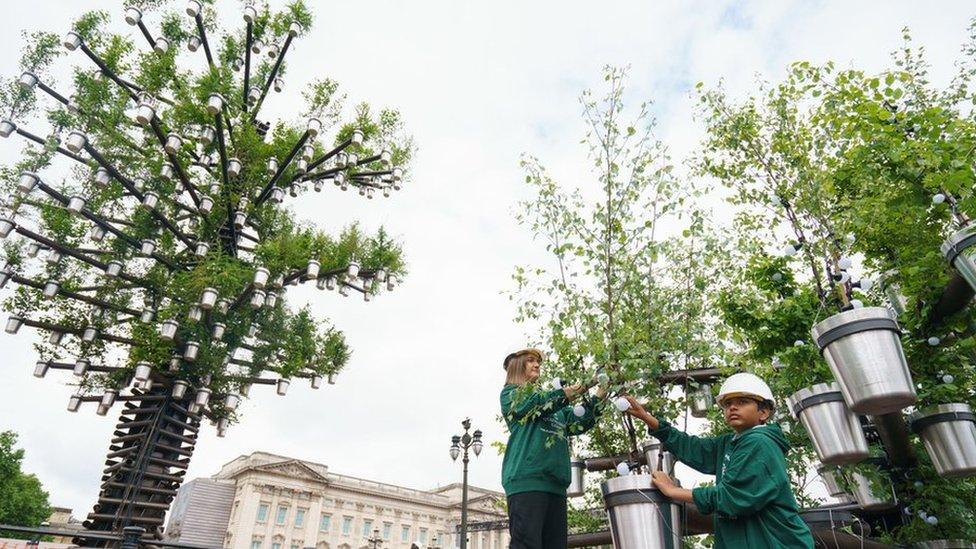 Children planting trees