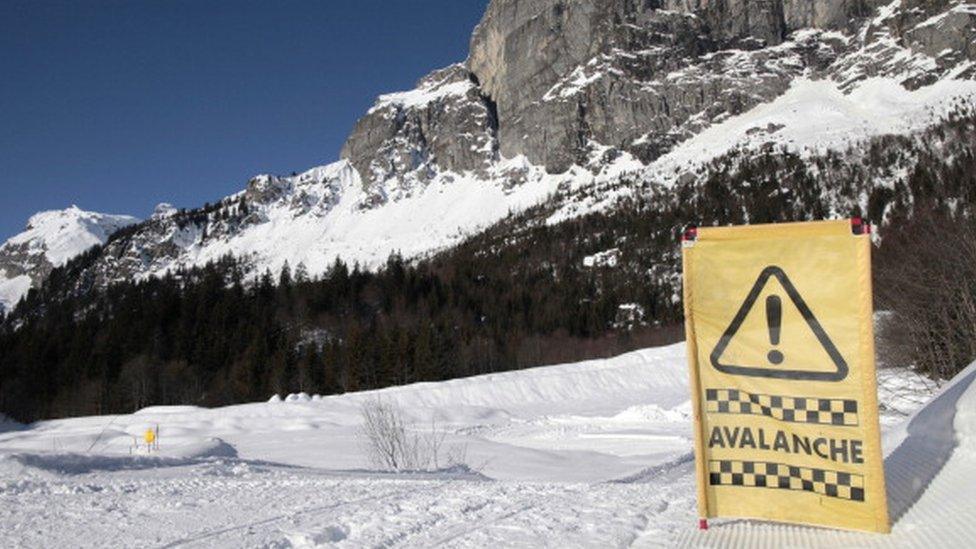 Avalanche sign