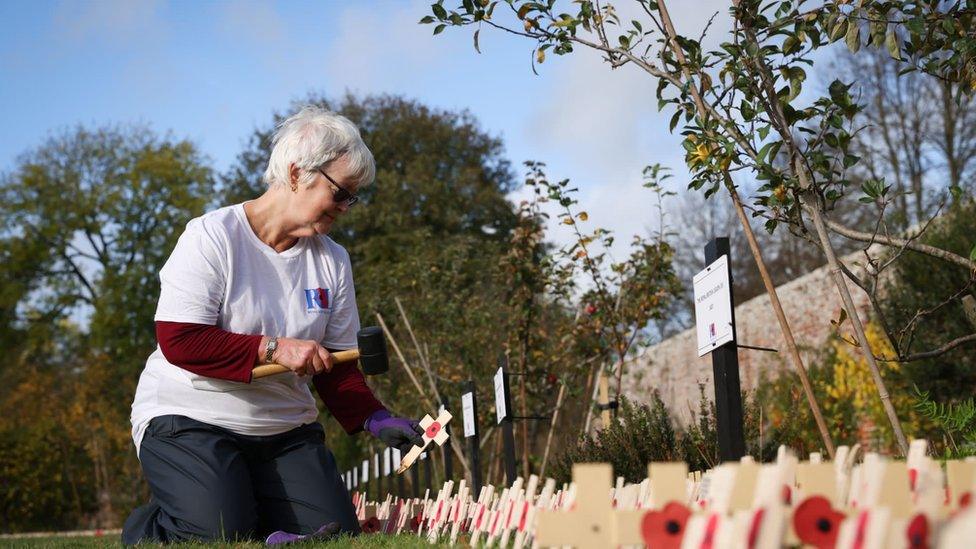 Remembrance Poppies