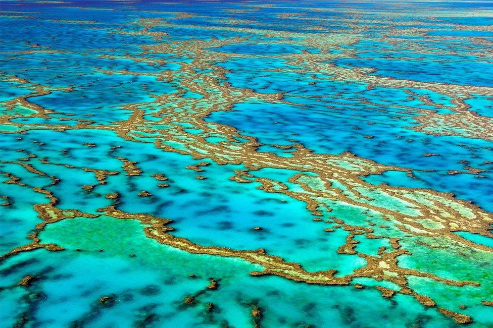 Aerial view of the Great Barrier Reef, Australia.