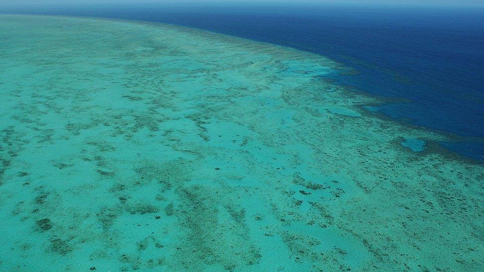 An aerial view of the Great Barrier Reef