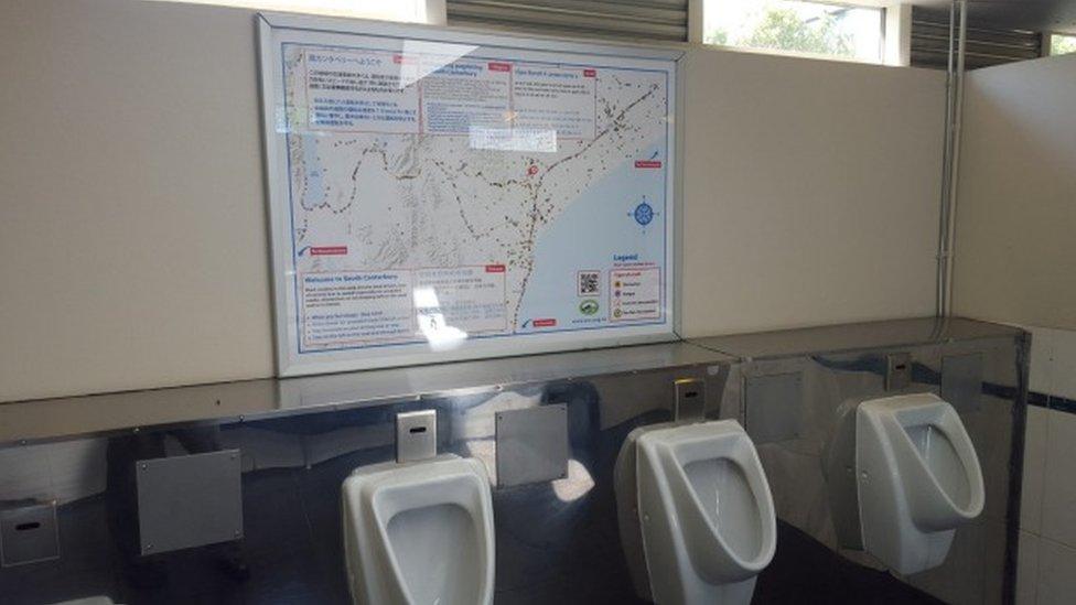 Road crash map installed in a urinal in South Canterbury, New Zealand