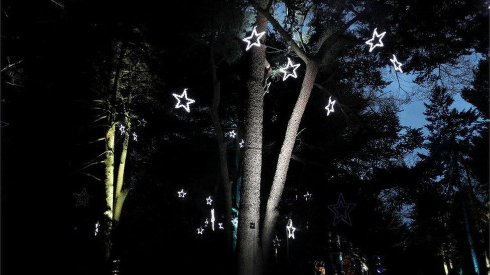 A view of part of the illuminated trail through Kew after-dark landscape, during a preview for Christmas at Kew Gardens, London.