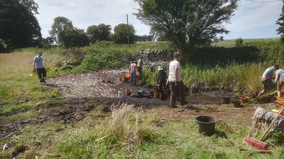 farm pond being restored