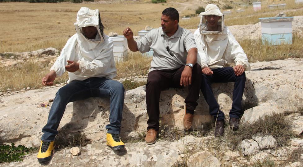 The first three beekeepers to take part in TuniBee. From left, Mohamed Jouini, Abdelfatteh Sayari, and Khairi Kharroubi