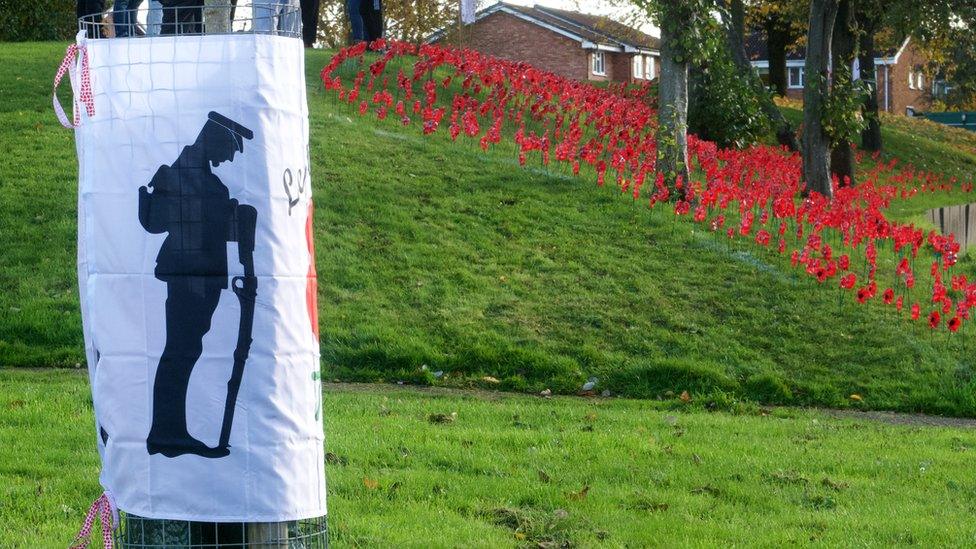 Stourbridge poppies