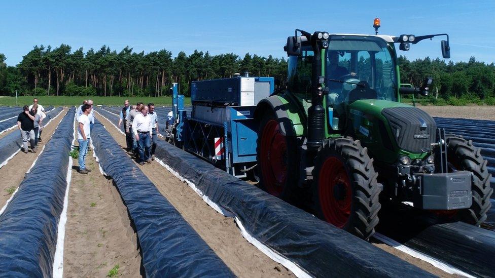 Asparagus picking robot pulled by tractor in a field