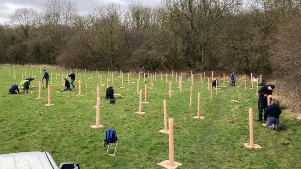 Volunteers planting trees at Stanton Park