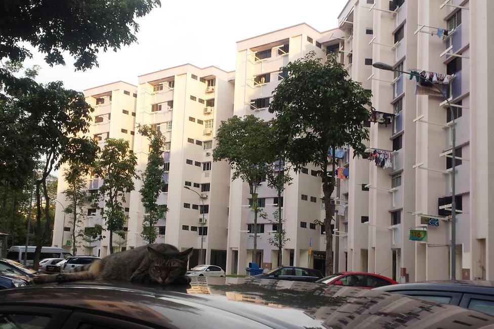 Picture of Yishun housing estate