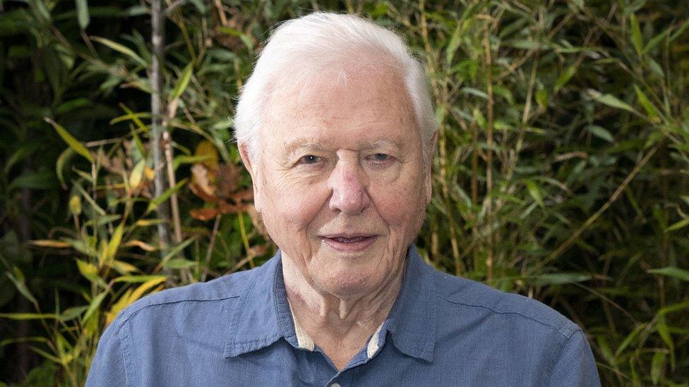 Sir David Attenborough