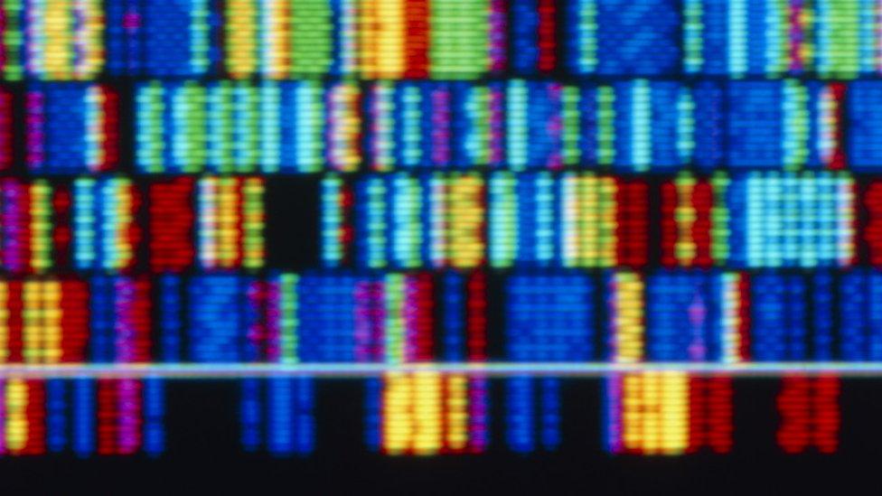 A human DNA sequence