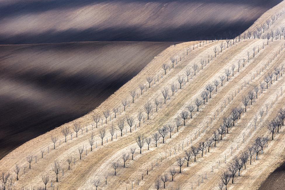 South Moravia, near Cejc, Czech Republic