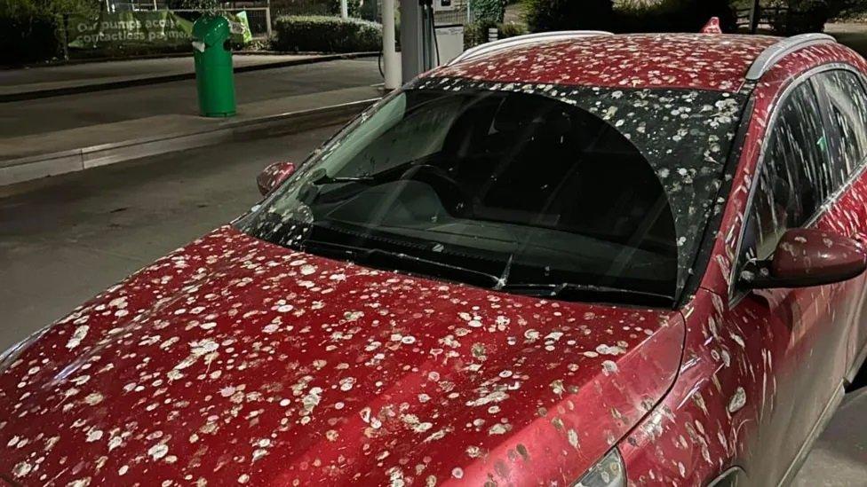 A red car covered in bird poo