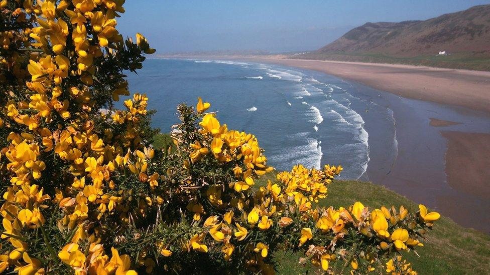 Rhossili Bay