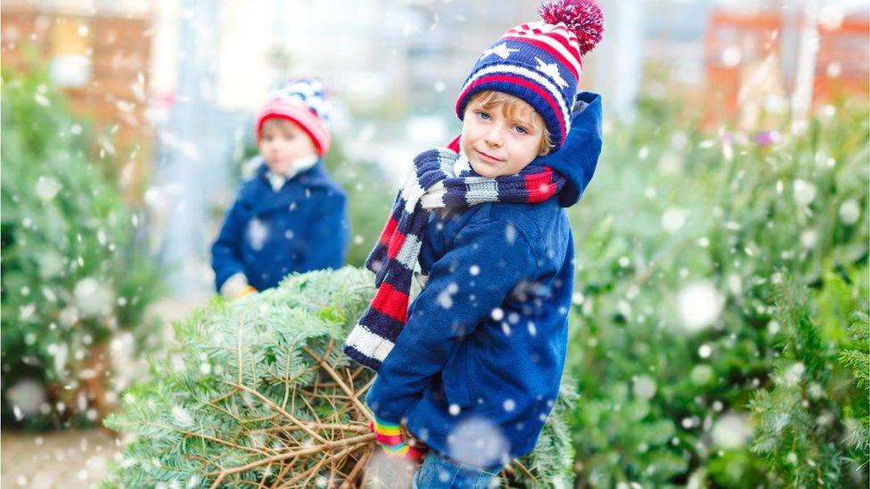 boys-outside-drag-christmas-tree.