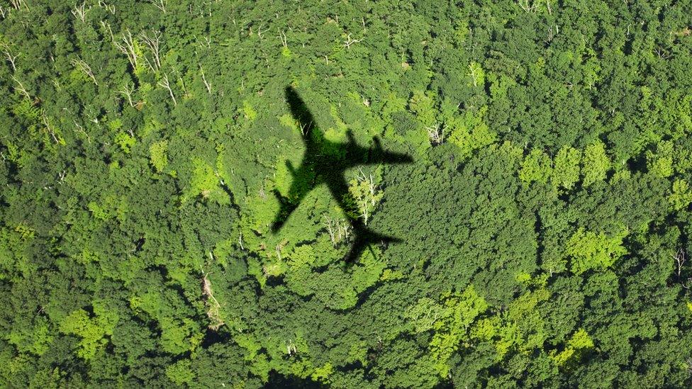 Shadow of an airliner on tops of trees