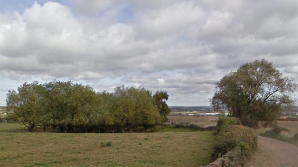 Fields on Hollinghirst Lane