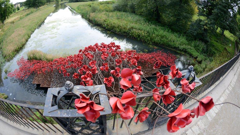 Poppies at Yorkshire Sculpture Park