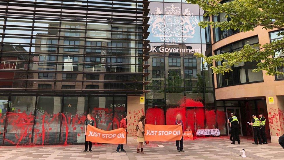 Jackdaw protest