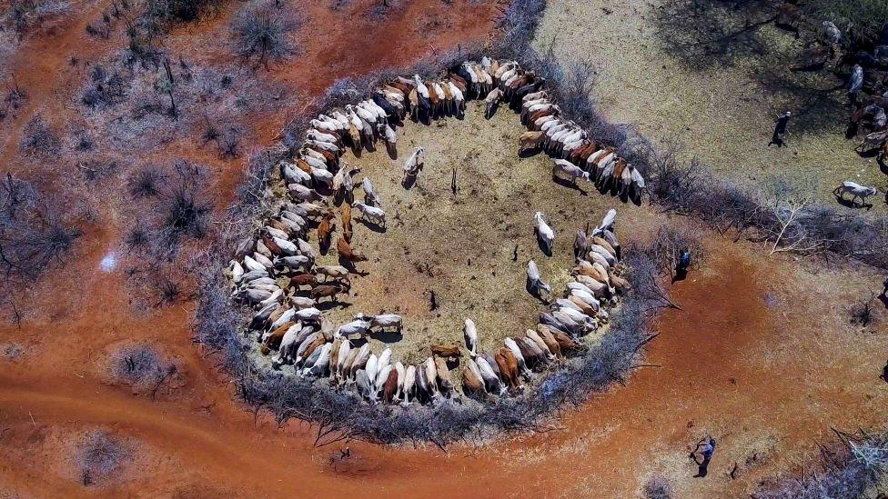 Drought in Ethiopia