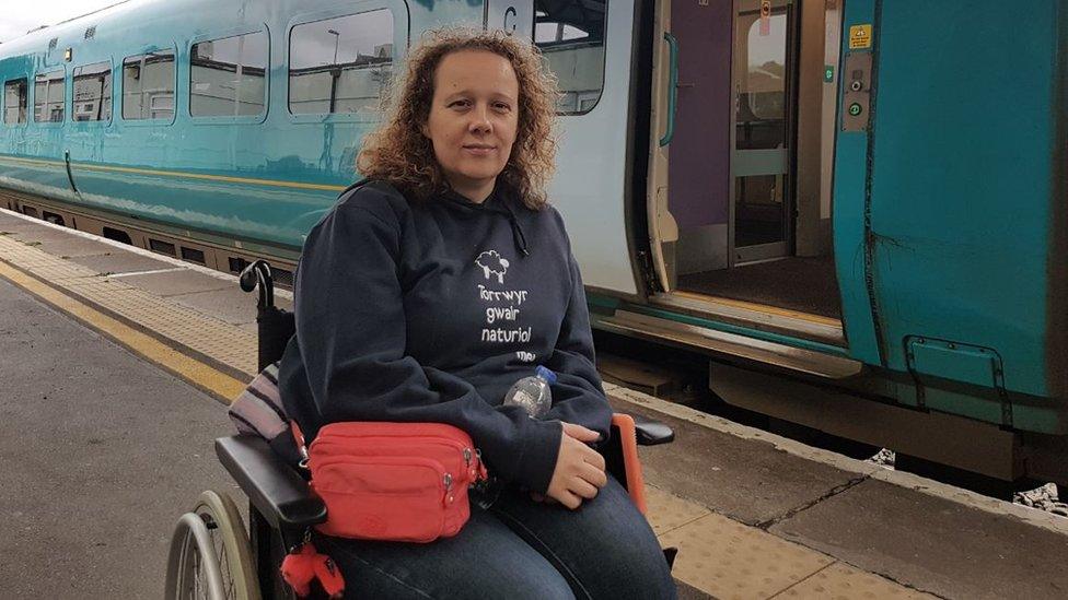 Passenger Cat Dafydd has been left frustrated by lack of suitable access at train stations