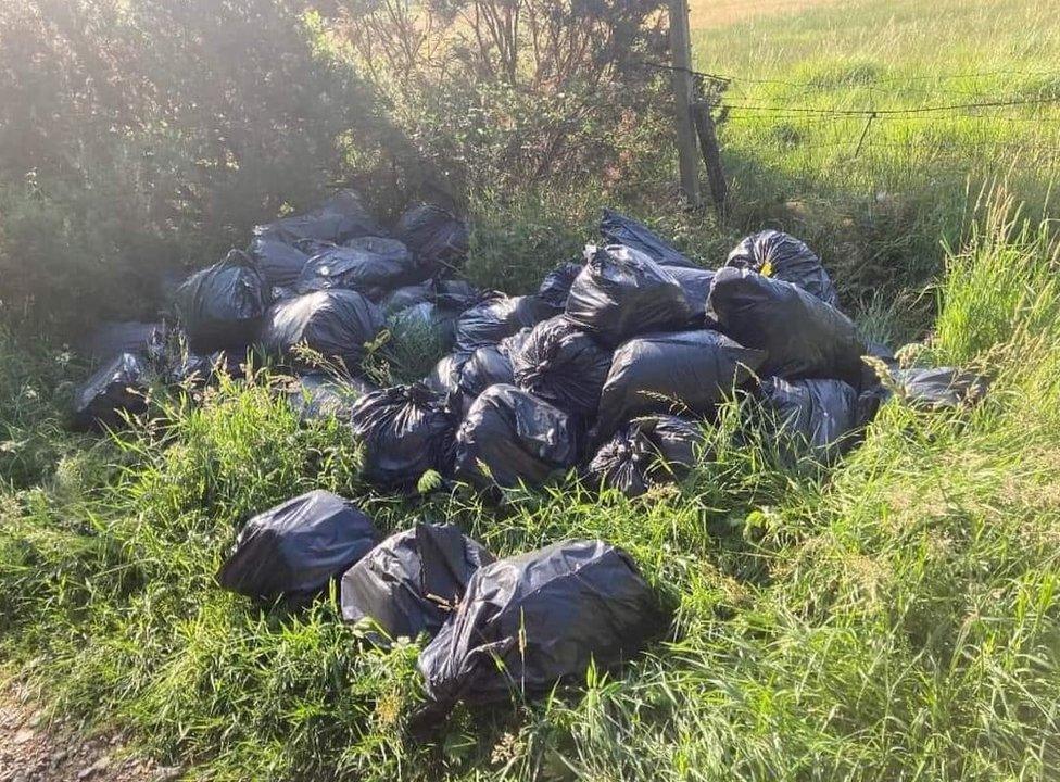 Black rubbish bags piled up in grass