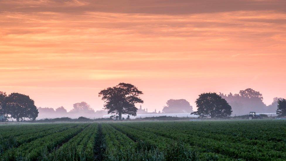 Sunrise over Suffolk fields