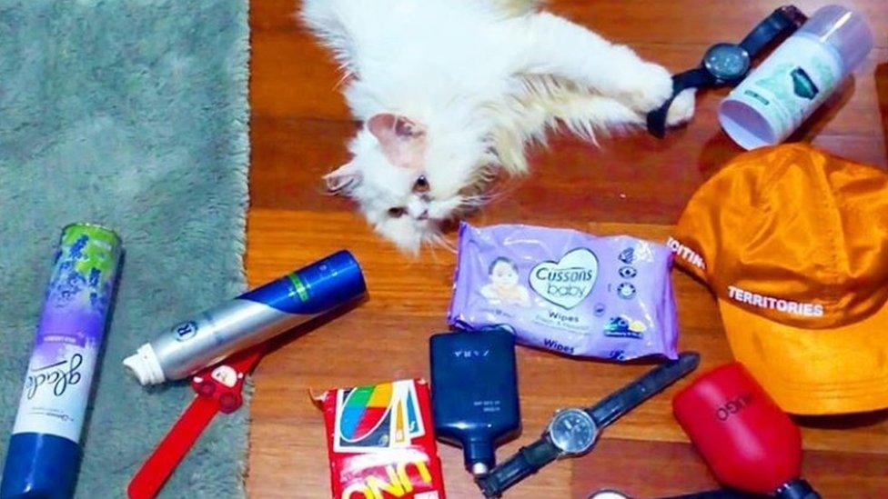 A cat lying down with household objects