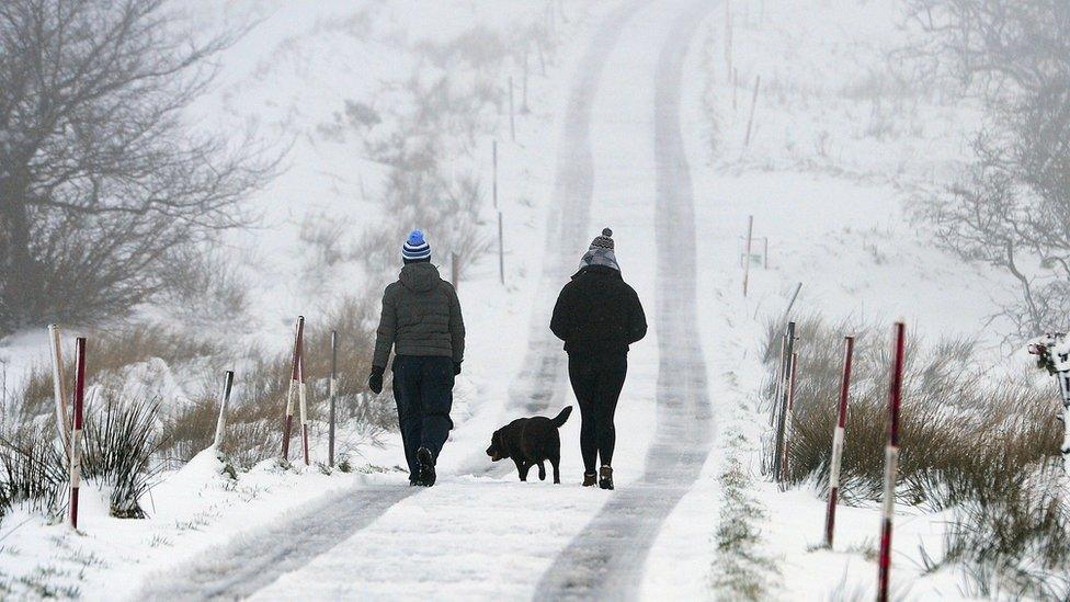 Taking a walk on the white side in Belfast