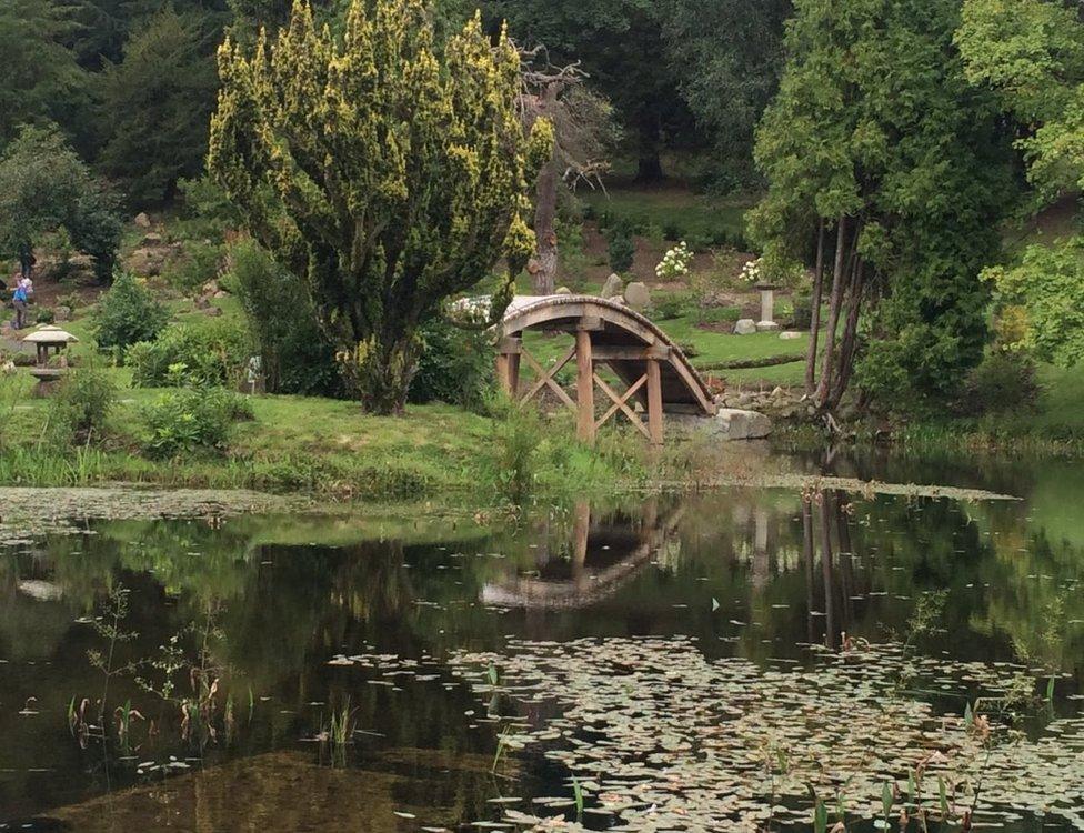 Japanese garden at Cowden Castle