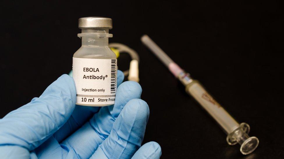 Cropped Image Of Doctor Holding Ebola Vaccination Against Black Background - stock photo