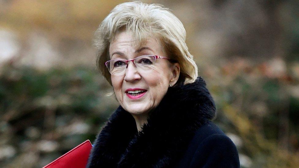 Andrea Leadsom