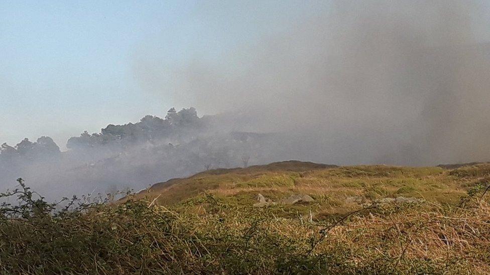 Ilkley Moor