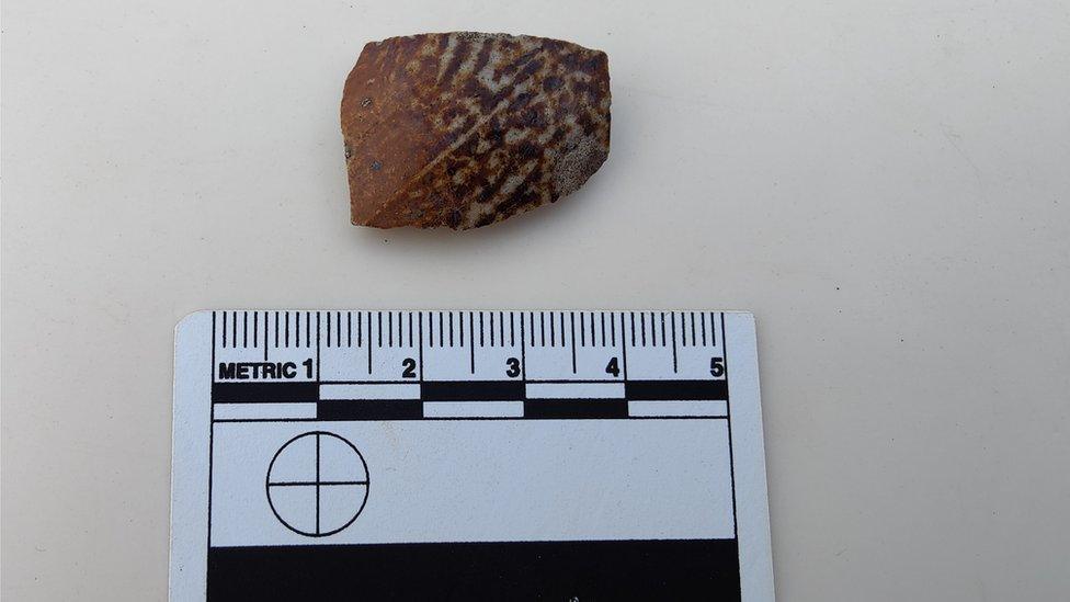 Part of a pottery drinking beaker discovered at the High Hunsley site