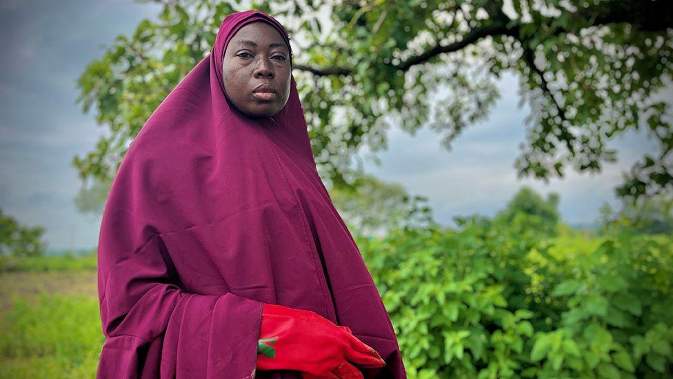Woman in a purple headscarf and red gloves stands under a shea tree in a green field where she is harvesting the seeds.