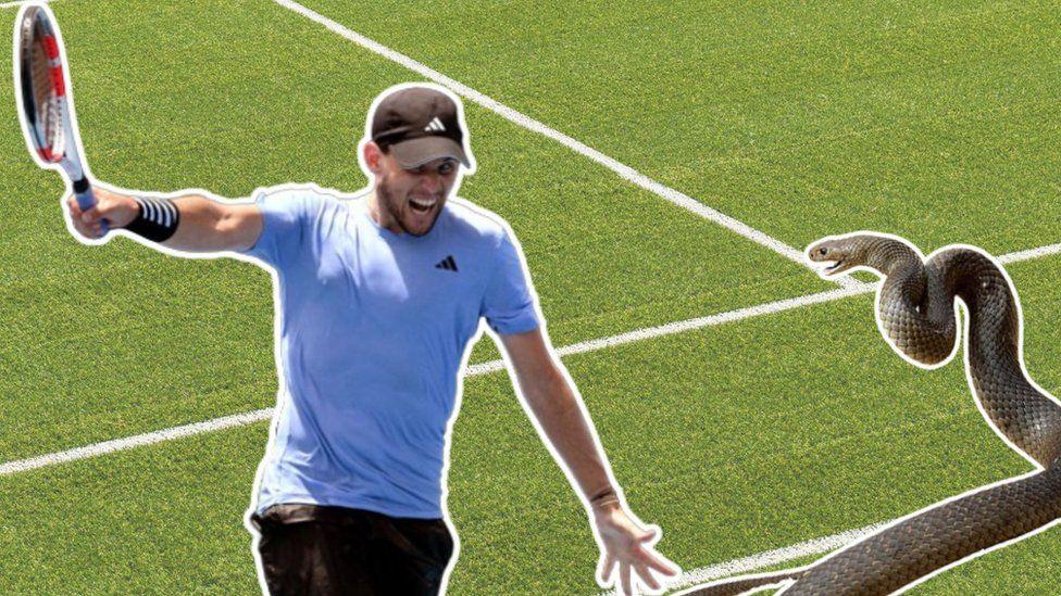 Tennis player and snake on pitch.