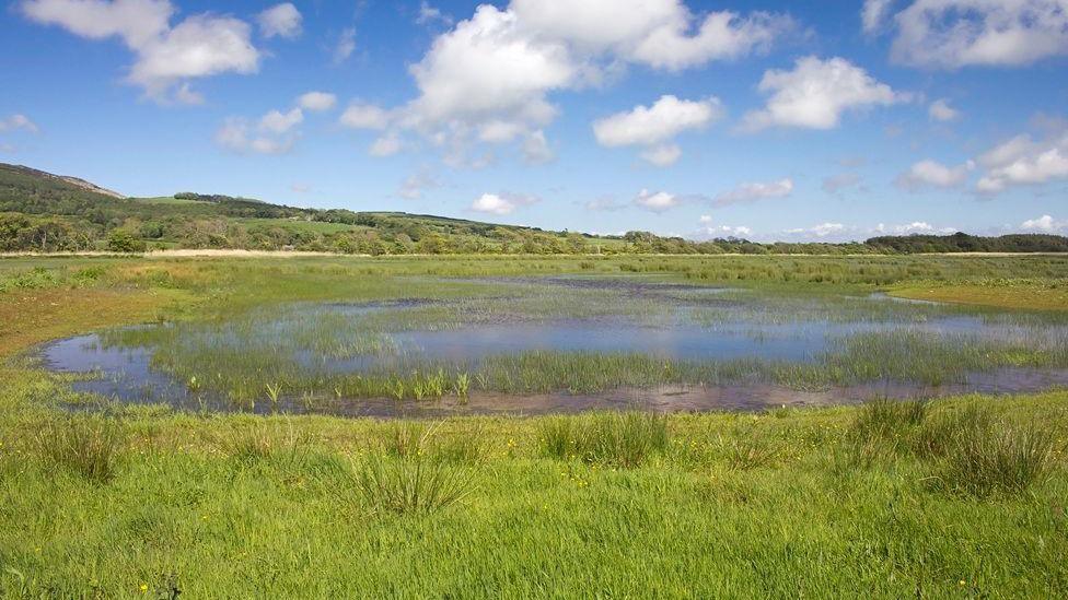 A big water pool in a grassy hillside