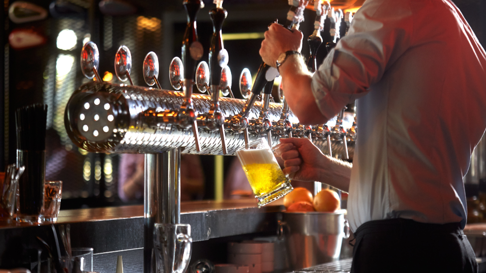 Male bar worker in grey shirt in a pub pulls a pint of lager from beer taps with a sliver bucket of oranges in front of him