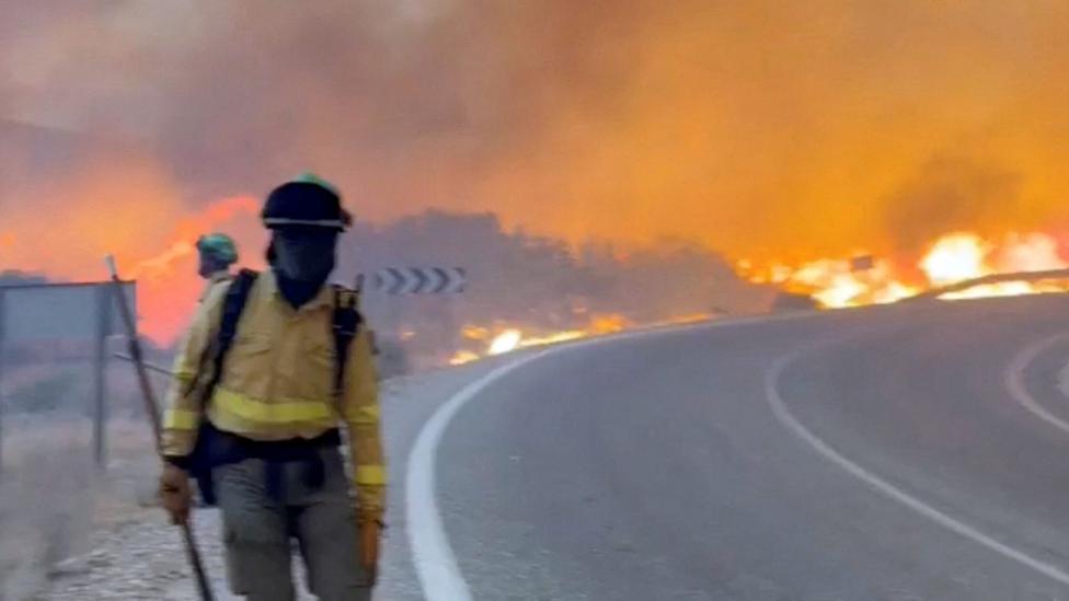 At least 11 dead and 19 missing in wildfire in southern Spain - BBC News