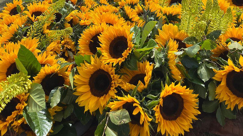 A display of orange sunflowers 