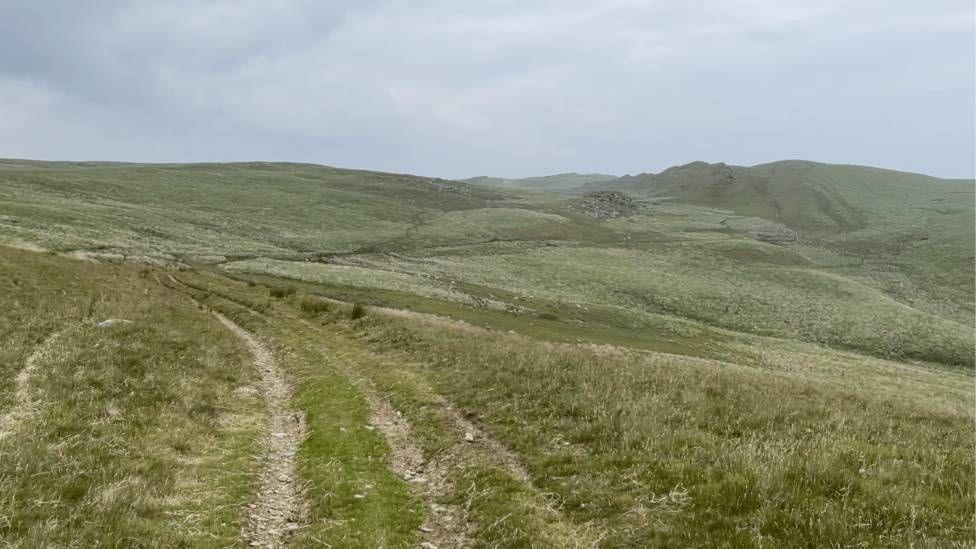 A photo of a section of Monks Trod in the Cambrian Mountains