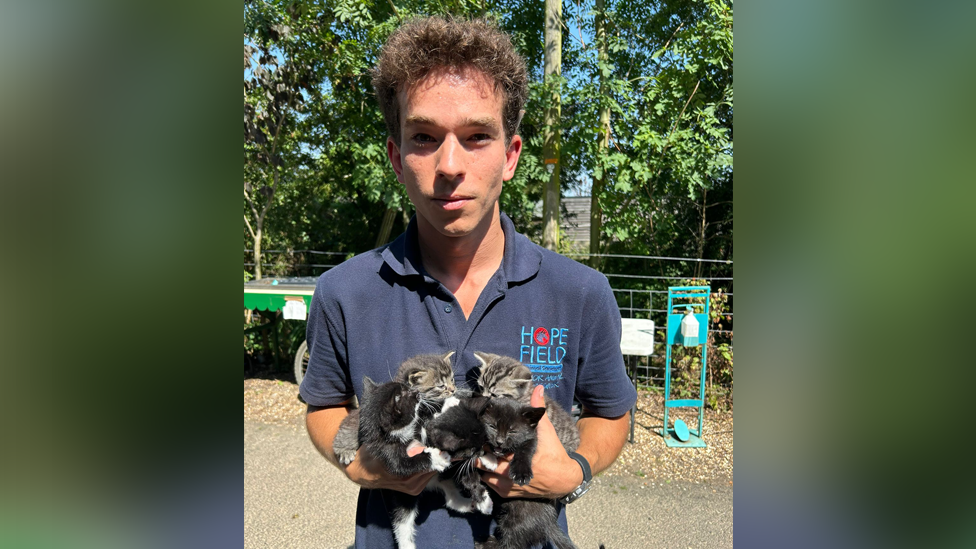 A young man holding four little kittens - two tabby and two black - and he is wearing a navy blue polo shirt. 