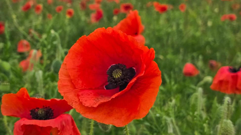 Stoke readers share brilliant West Midlands photos