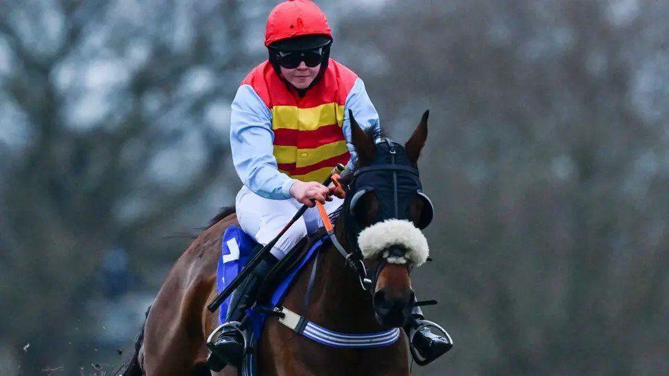 Rider with red helmet, red and yellow striped top riding a dark brown horse